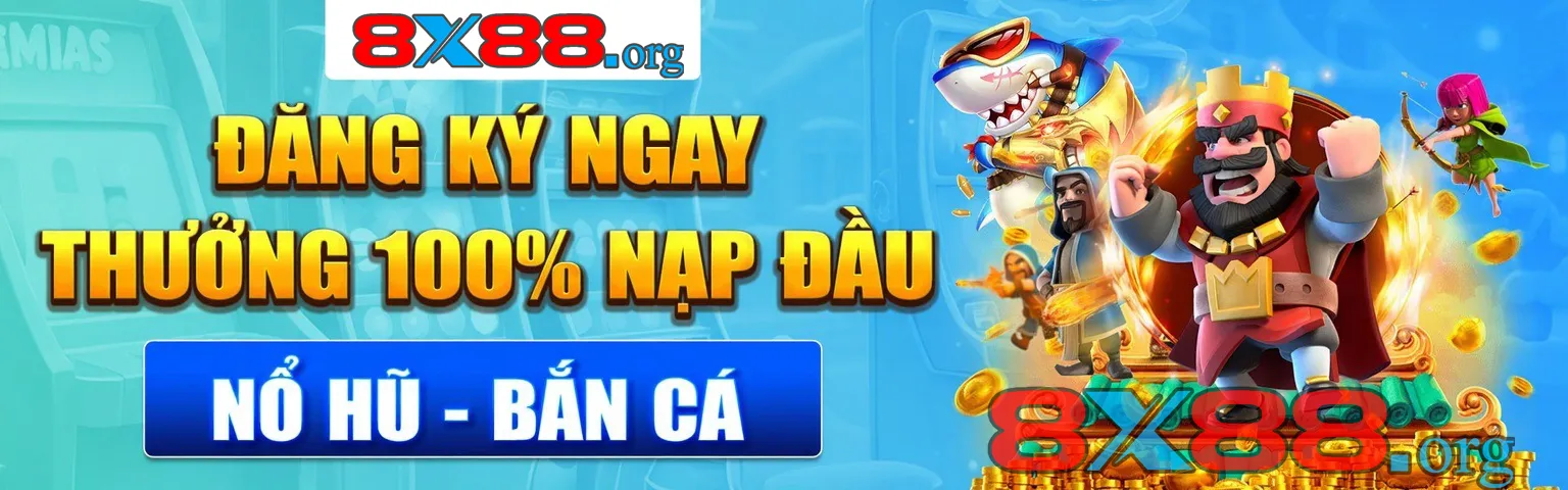 8X88 nạp rút
